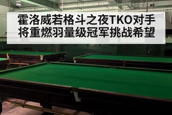 霍洛威若格斗之夜TKO对手 将重燃羽量级冠军挑战希望