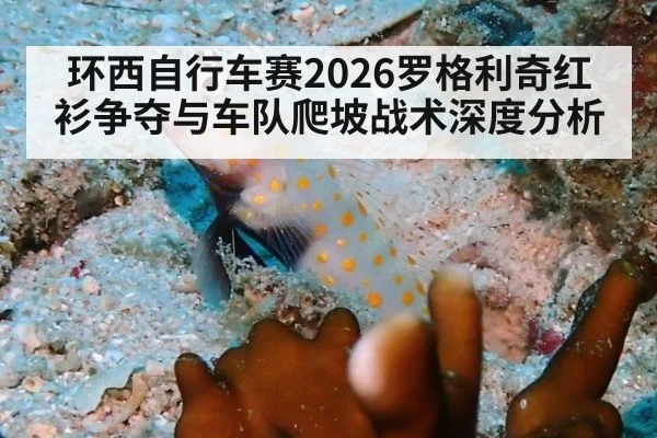 环西自行车赛2026罗格利奇红衫争夺与车队爬坡战术深度分析