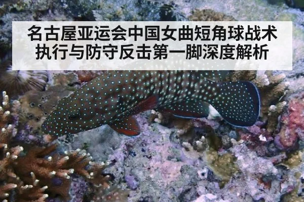 名古屋亚运会中国女曲短角球战术执行与防守反击第一脚深度解析