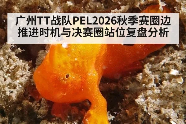 广州TT战队PEL2026秋季赛圈边推进时机与决赛圈站位复盘分析